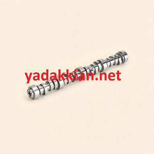 bcjkzhchisy8879